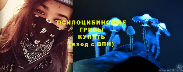 прущие крисы Алзамай