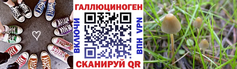 KRAKEN онион  купить наркотик  Белокуриха  Галлюциногенные грибы мухоморы 